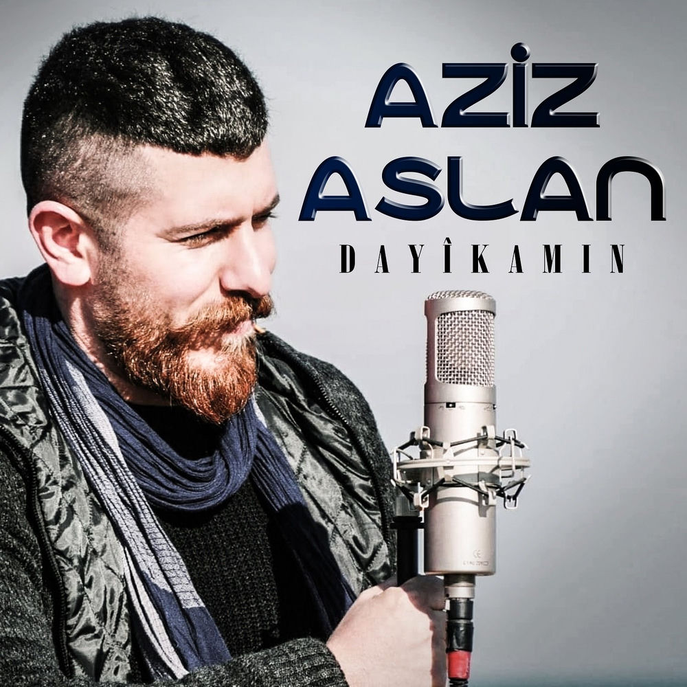 Aziz Aslan sanatçı görseli