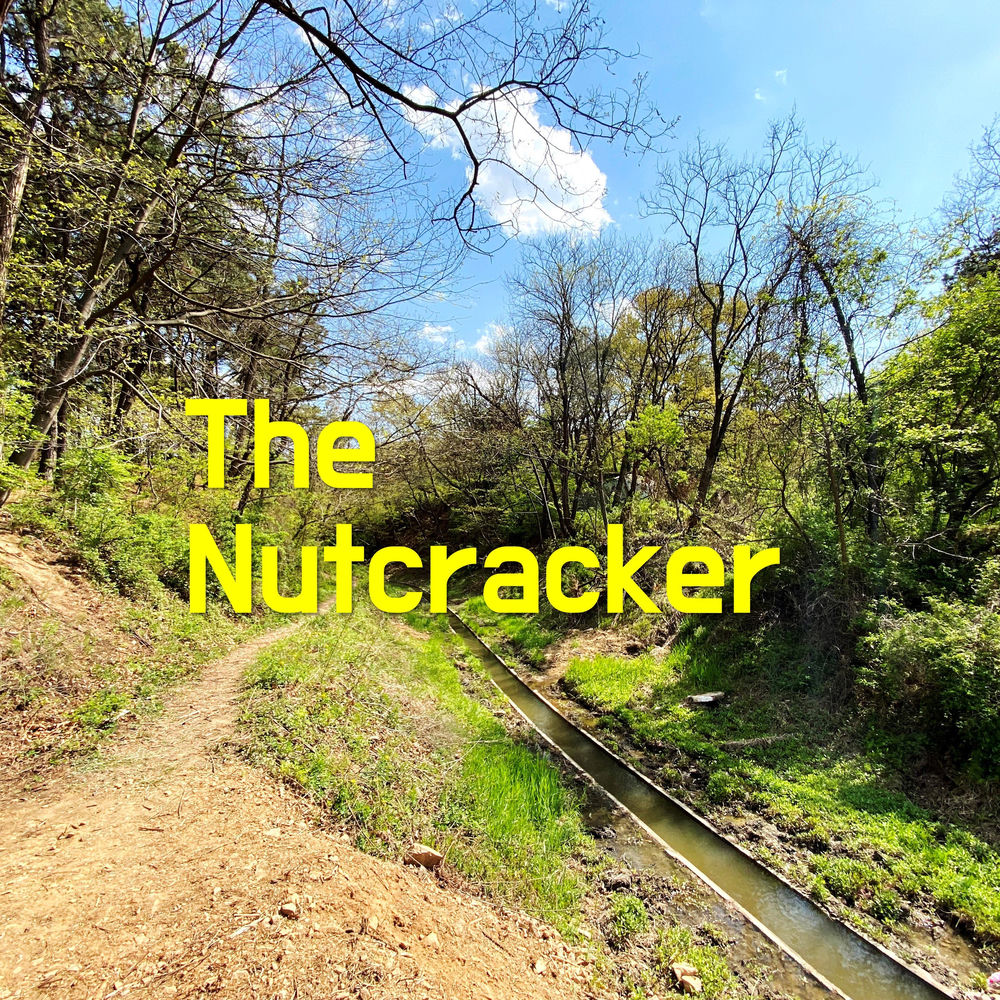 The Nutcracker sanatçı görseli