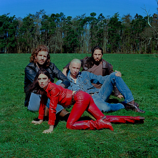 Wolf Alice sanatçı görseli